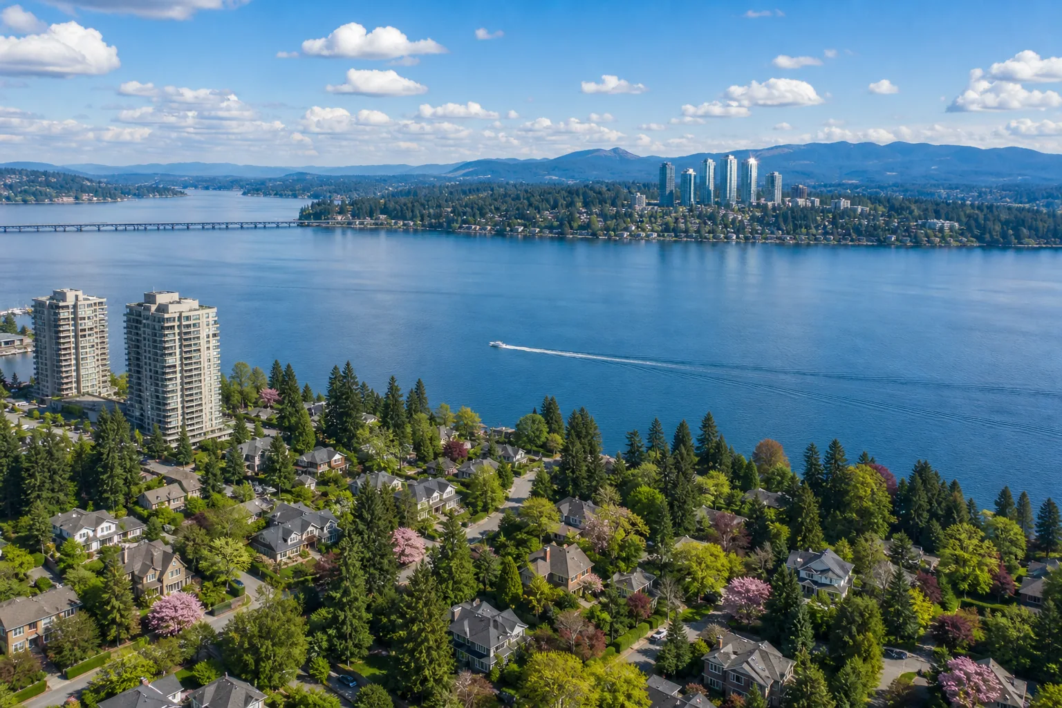 Illustration of a leafy lakefront neighbourhood of traditional homes running down to a wide blue lake, with two waterfront towers, a floating bridge in the distance and a skyline on the far shore