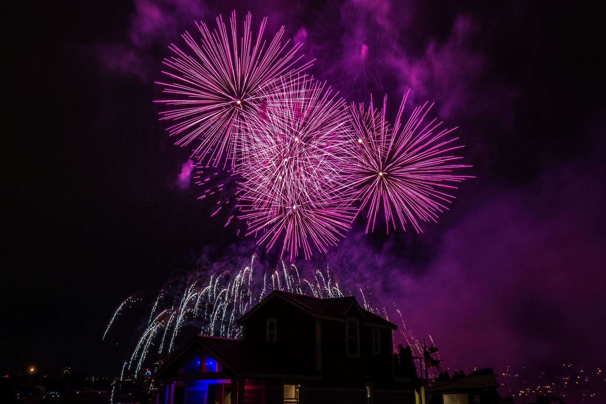 Fireworks by Steve